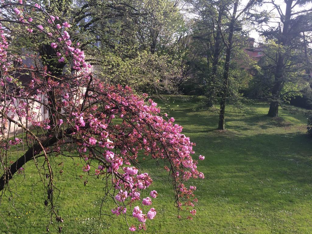 Il Cantelino Padova Cameră foto